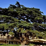Otel Relais Buonanno 4*